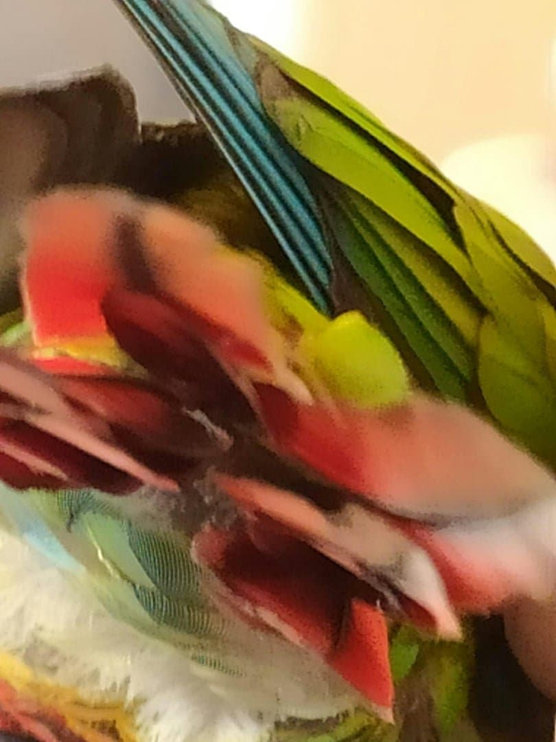 Limpeza Hotéis e Alojamento Local Porto 2026 | Guia Profissional